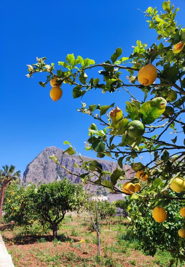 Casa Vacanze Il Faro San Vito Lo Capo-Trapani-Sicilia Ovest Holiday Home Luaran gambar