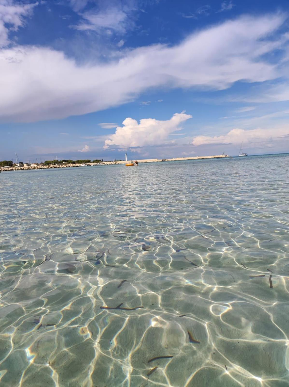 Casa Vacanze Il Faro San Vito Lo Capo-Trapani-Sicilia Ovest Holiday Home Luaran gambar